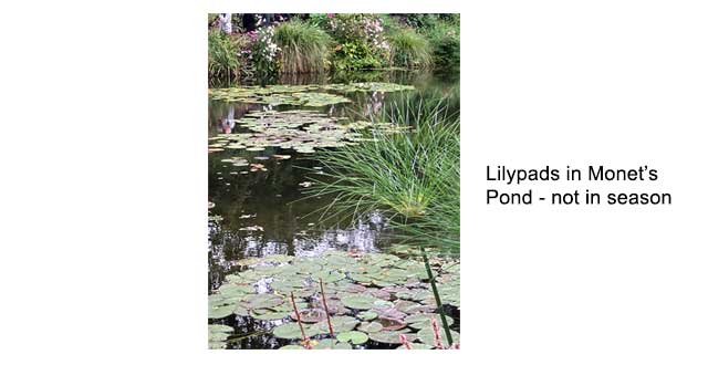 Lilypads in Monet's Garden