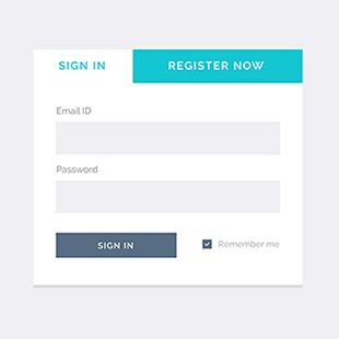 Sign in form