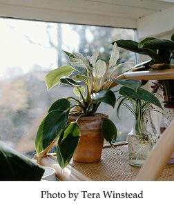 Photo by Tera Winstead