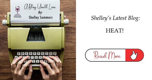 Blog Banner